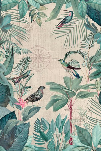 Paradis tropical avec des oiseaux par Andrea Haase