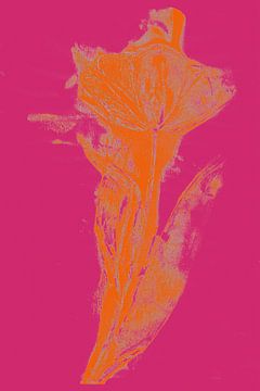 Moderne botanische kunst. Boho Tulp in felle kleuren nr. 6 van Dina Dankers
