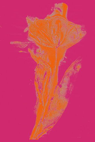 Art botanique moderne. Tulipe Boho en couleurs vives no. 6