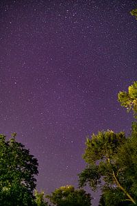 Les étoiles dans le ciel
