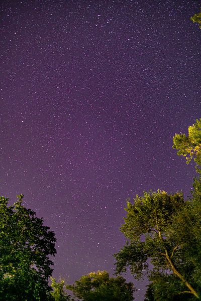 Stars in the sky by Robin van Steen