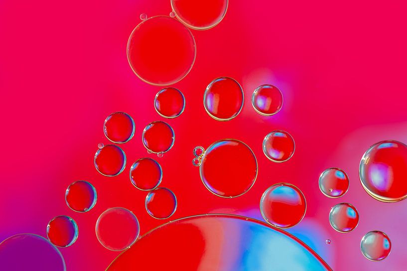 Red delight by Lida Bruinen