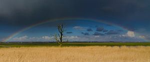 Regenbogen von René Vos