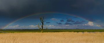 Rainbow by René Vos