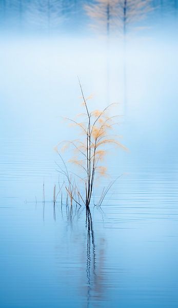 Morgenstimmung am See von fernlichtsicht