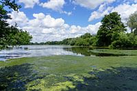Tranquil lake