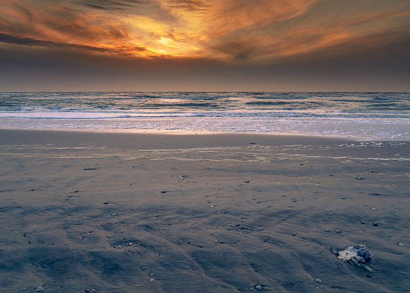 Silence before the storm by Patrick Herzberg