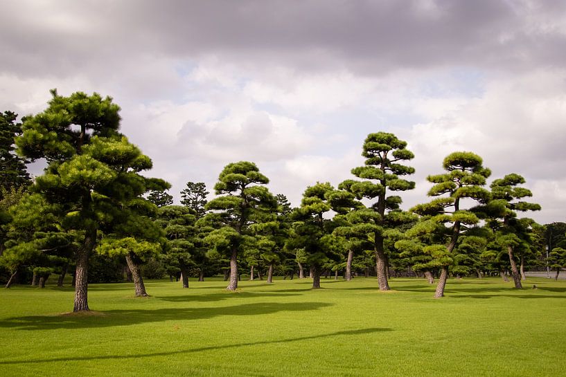 Gardens of the Emperial Palace in Tokyo, Japan by Marcel Alsemgeest