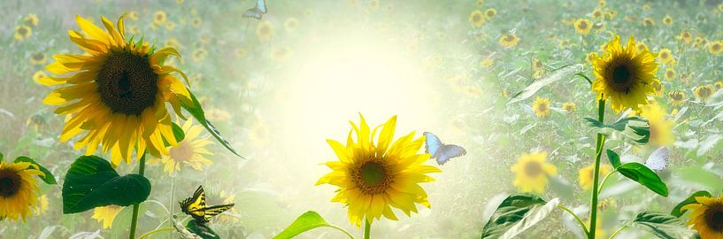 Sunflower delight van Leon Brouwer