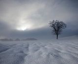 Winterimpression, Nicolas Schumacher von 1x Miniaturansicht