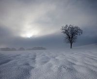 Winter Indruk