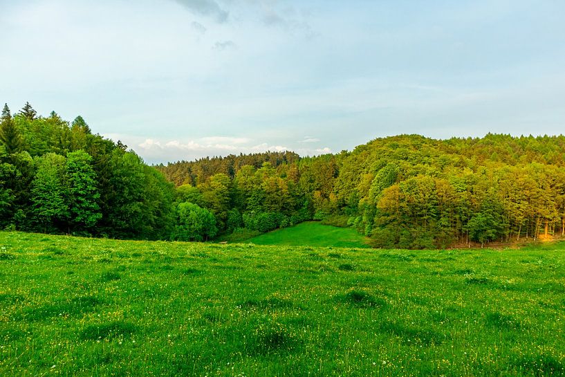 Randonnée estivale à vélo dans les environs de Schmalkalden jusqu'à la vallée de la Werra près de Fambach - Thuringe - Allemagne par Oliver Hlavaty