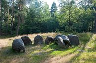 Hunebed D31 van Richard Wareham thumbnail