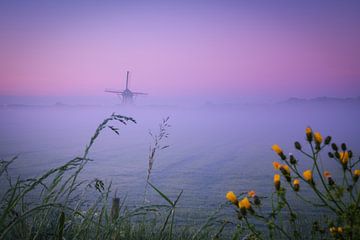 Misty Morning Lienden II van Sander Peters