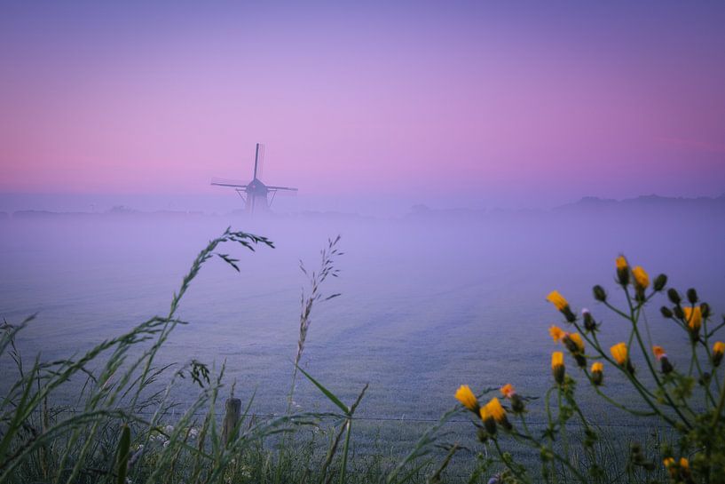 Misty Morning Lienden II van Sander Peters Fotografie