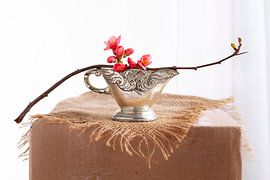 Aladin by Diane Cruysberghs