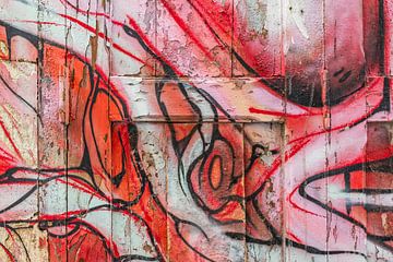 Street art in close-up – rauw, levendig en vol verrassingen van Silvia Thiel