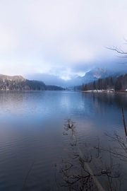 Magnifique vue baignée de lumière sur l'Alpsee en Bavière - Photo du lac dans un paysage hivernal évocateur avec un espace vide