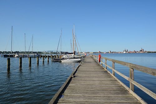 Bateaux à moteur & Voiliers dans le port d'Altefähr