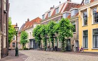 Street view in Utrecht, Netherlands. van Lorena Cirstea thumbnail