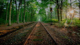 East Frisia – Railway line in the woods by Naturfotograf in Ostfriesland
