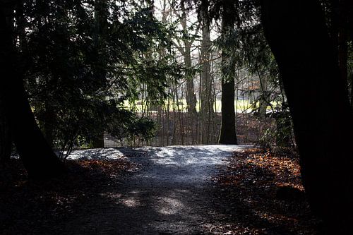 Amsterdamse Bos