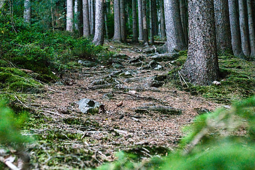 Ardennes