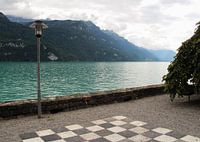 Rustige sferen aan het meer van Brienz Zwitserland