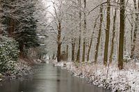 IJzig koude natuur