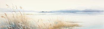 Reed and Water | Reed on the Water