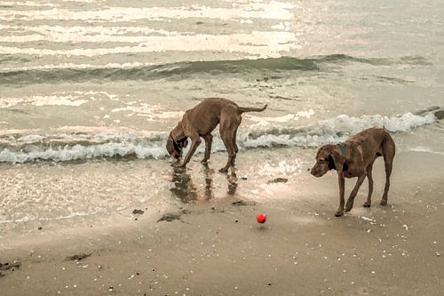 Wanna Play? 1. Impressionisme.