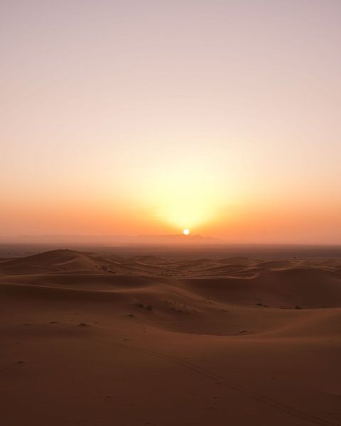 Sahara Dessert by Marion Stoffels