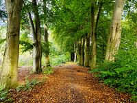 Herbst