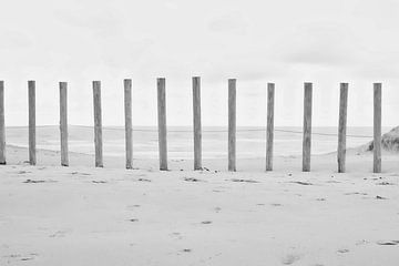 Duinen en  strand, Zandvoort van WeVaFotografie