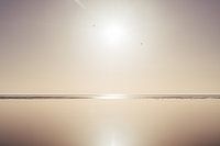 Spiegelglattes Wattenmeer Vlieland - Naturfotografie Druck