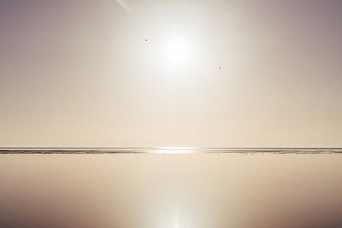 Spiegelgladde weidse Waddenzee Vlieland - natuurfotografie print