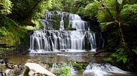 Purakaunui Falls: timeless waterfall in the Catlins by Be More Outdoor thumbnail