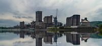 The CBR cement factory on the Maas