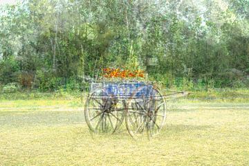 Flower cart by Josine Claasen
