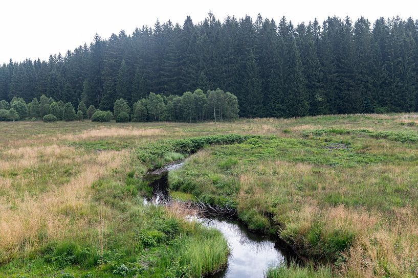 Hautes Fagne Belgium by Richard Wareham