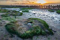 Setting sun Moddergat by René Groeneveld thumbnail