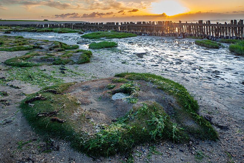 Setting sun Moddergat by René Groeneveld