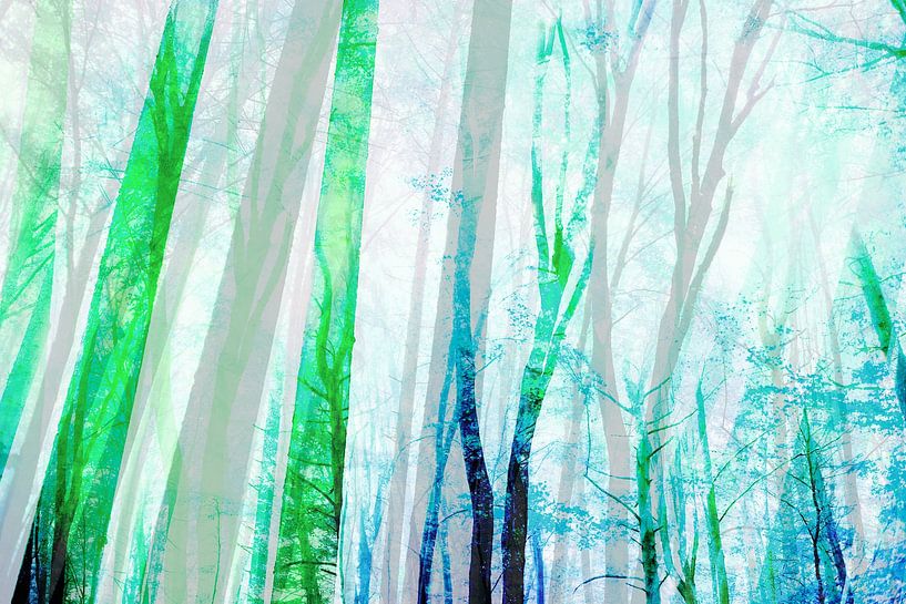 Frühling im Wald II von FRESH Fine Art