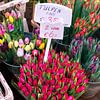 Tulpen auf dem Markt von Blond Beeld
