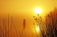 Zonsopkomst