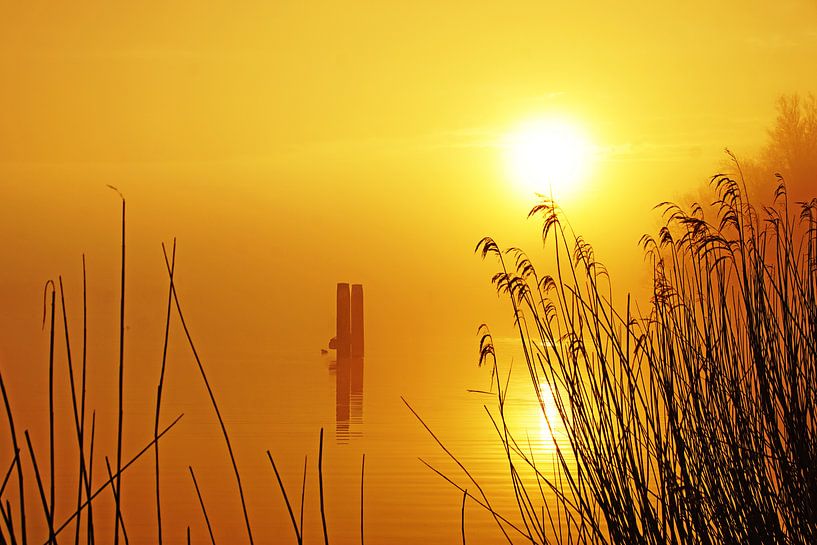 Zonsopkomst by Yvonne Hoenen