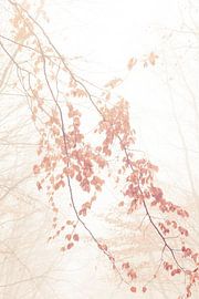 Karamellblätter von Lavieren Photography