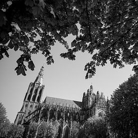 Parade 's-Hertogenbosch en noir et blanc sur Merijn Geurts