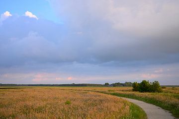 Up around the bend by Jurjen Melinga