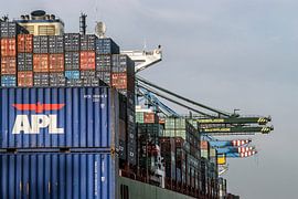 Blockboxes by Mario de Lijser